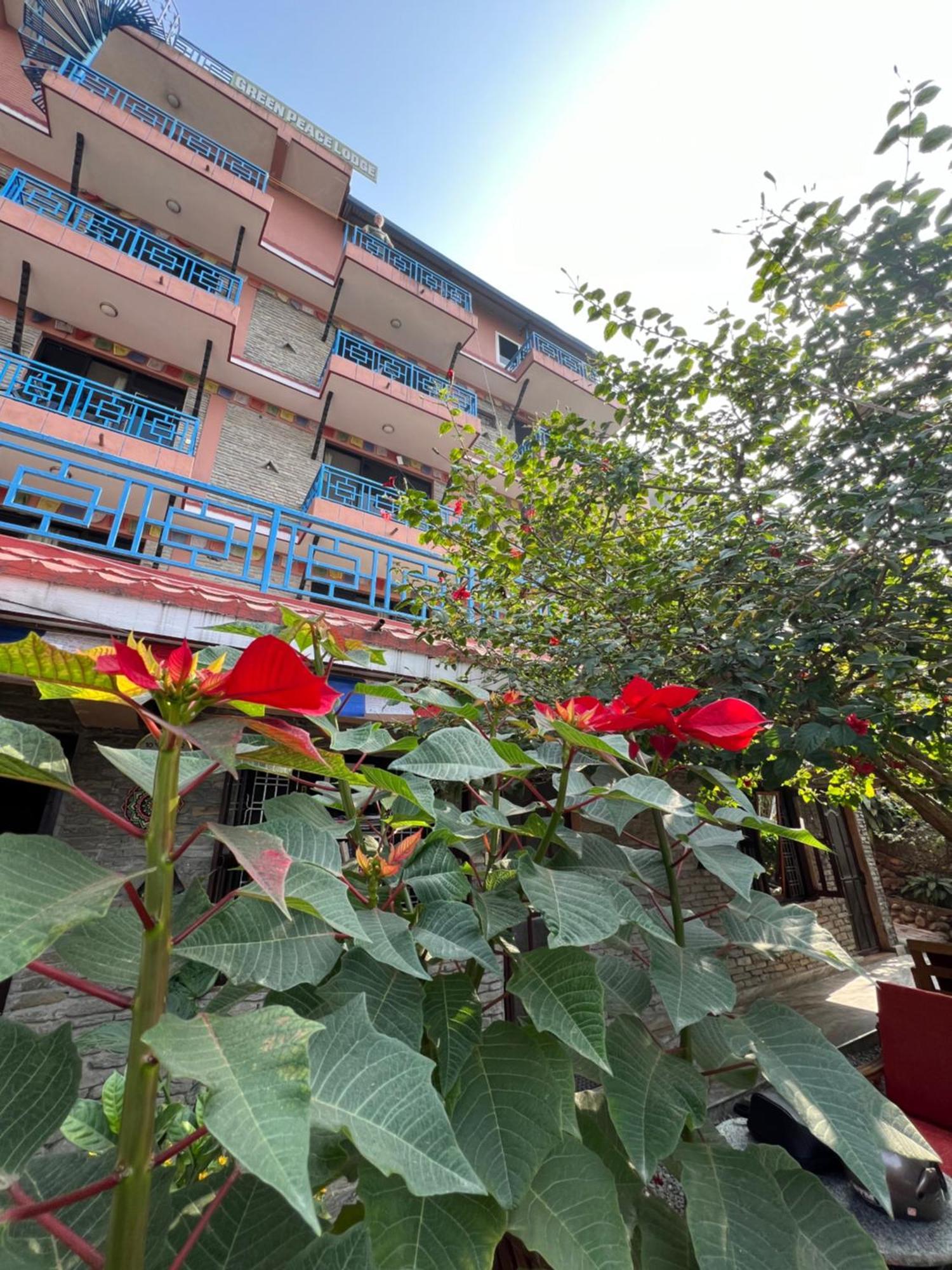 Little Pilgrim Family Lodge Pokhara Luaran gambar